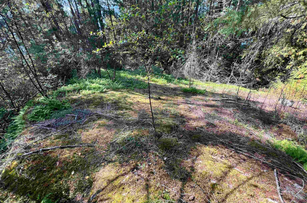 Lot 21 SECHELT INLET ROAD, Sechelt BC V7Z 0C9, Sechelt BC — Land for Sale - Photo 7