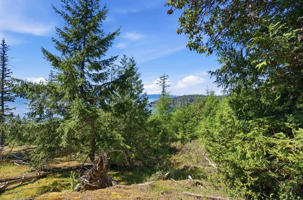 Lot 23 SAKINAW DRIVE, Garden Bay BC V0N 1S1, Garden Bay BC — Land for Sale - Photo 4