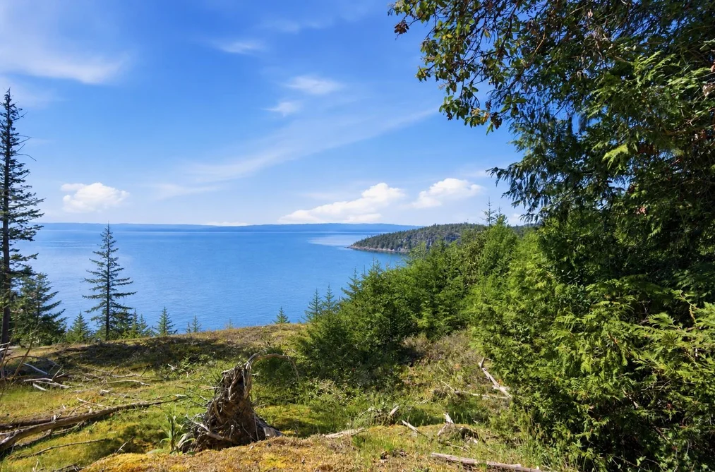 Lot 23 SAKINAW DRIVE, Garden Bay BC V0N 1S1, Garden Bay BC — Land for Sale - Photo 5