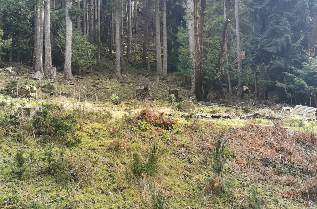 LOT 25 WOOD DALE DRIVE, Mayne Island BC V0N 2J2, Mayne Island BC — Land for Sale - Photo 3