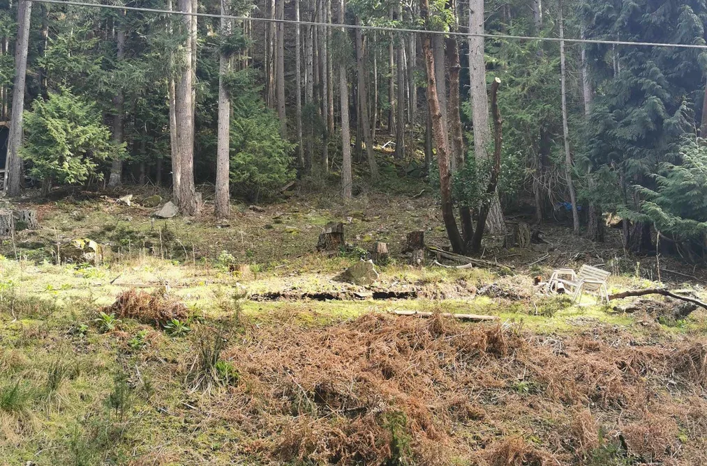 LOT 25 WOOD DALE DRIVE, Mayne Island BC V0N 2J2, Mayne Island BC — Land for Sale - Photo 4