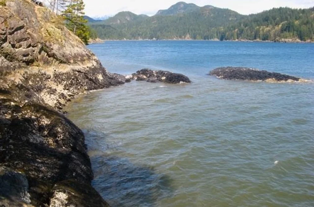 Lot 26 WEST BAY LANDING, Gambier Island BC V0N 1V0, Gambier Island BC — Land for Sale - Photo 5