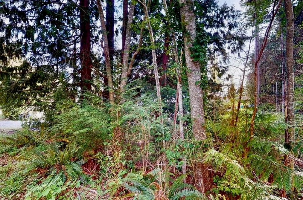 LOT 28 LEE ROAD, Garden Bay BC V0N 1S1, Garden Bay BC — Land for Sale - Photo 7