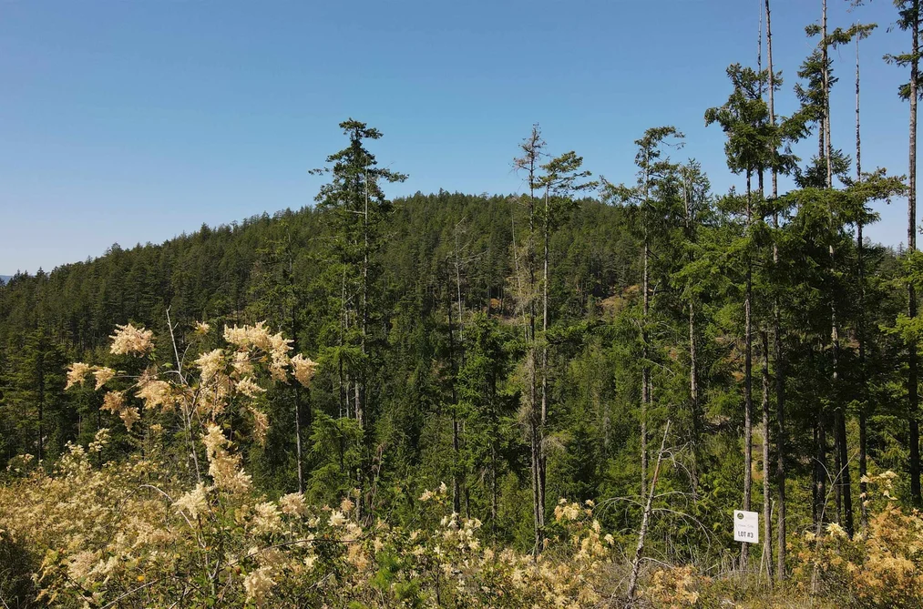 Lot 3 13803 LEE ROAD, Pender Harbour BC V0N 1S1, Pender Harbour BC — Land for Sale - Photo 3