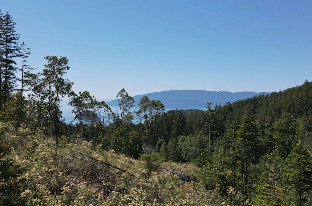 Lot 3 13803 LEE ROAD, Pender Harbour BC V0N 1S1, Pender Harbour BC — Land for Sale - Photo 4