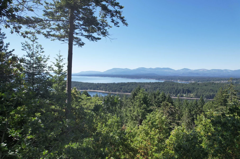 Property for sale at Lot 3 Seymour Road No City Value British Columbia - MLS: R3027402
