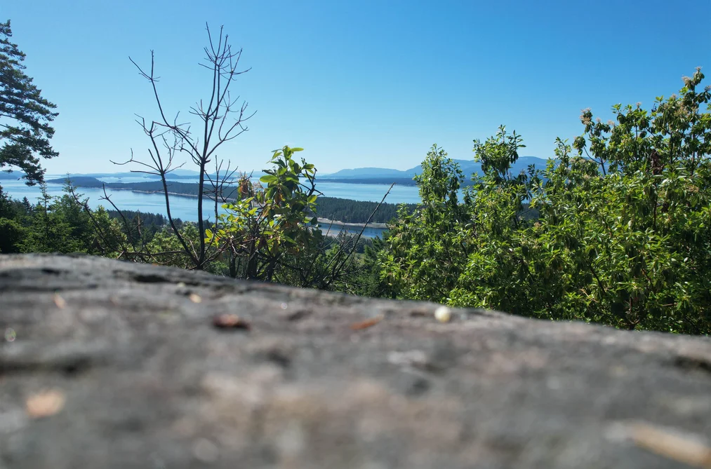 LOT 3 SEYMOUR ROAD, No City Value BC V0R 1X6, No City Value BC — Land for Sale - Photo 3