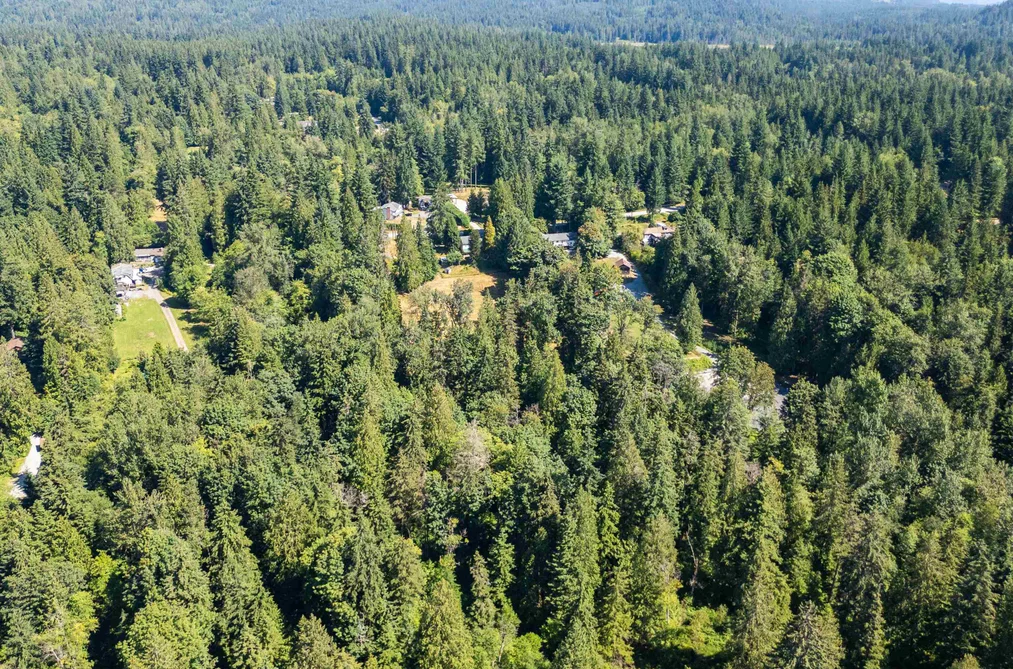 Lot 31 108 AVENUE, Maple Ridge BC N0N 0N0, Maple Ridge BC — Land for Sale - Photo 7