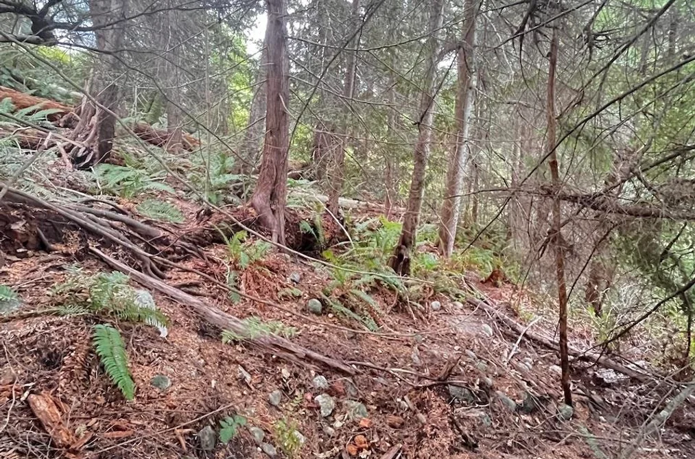 Lot 34 DEERHORN DRIVE, Sechelt BC V7Z 0E1, Sechelt BC — Land for Sale - Photo 4