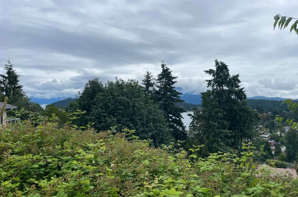 Lot 36 OCEANMOUNT LANE, Gibsons BC V0N 1V9, Gibsons BC — Land for Sale - Photo 4