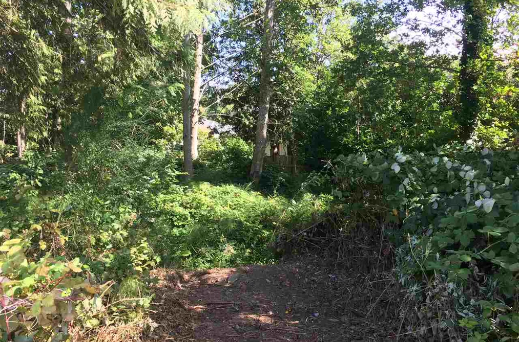 Lot 38 MAPLEWOOD LANE, Gibsons BC V0N 1V8, Gibsons BC — Land for Sale - Photo 3