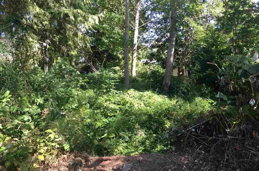 Lot 38 MAPLEWOOD LANE, Gibsons BC V0N 1V8, Gibsons BC — Land for Sale - Photo 4