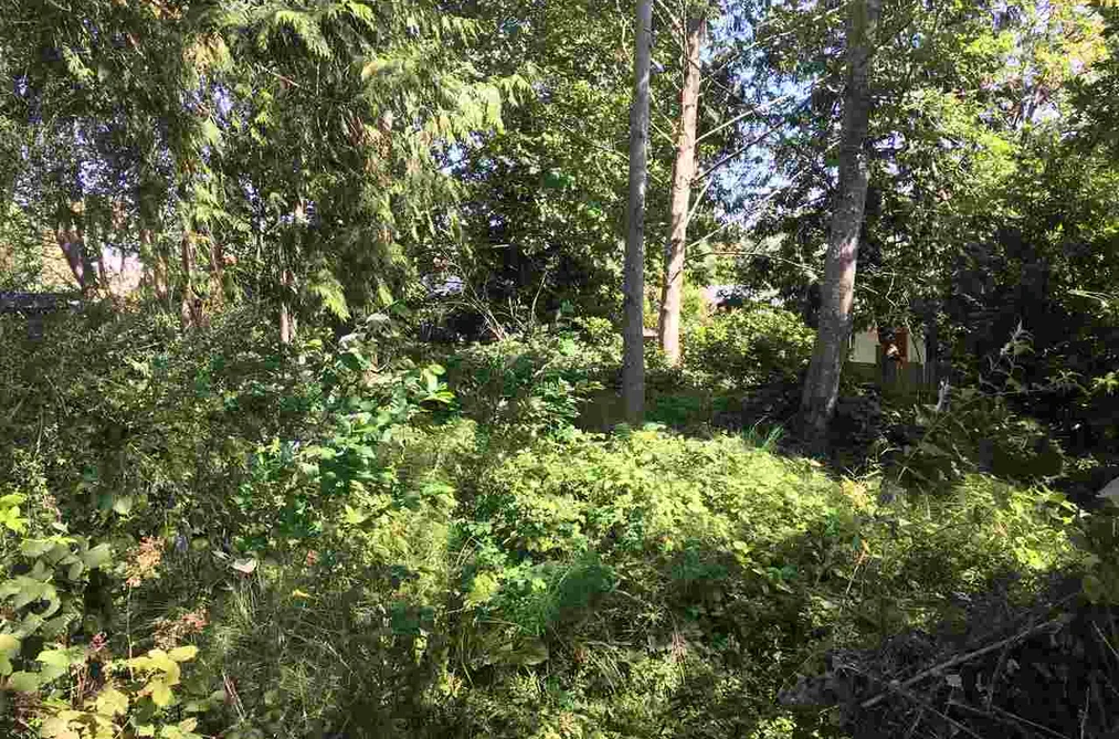 Lot 38 MAPLEWOOD LANE, Gibsons BC V0N 1V8, Gibsons BC — Land for Sale - Photo 5
