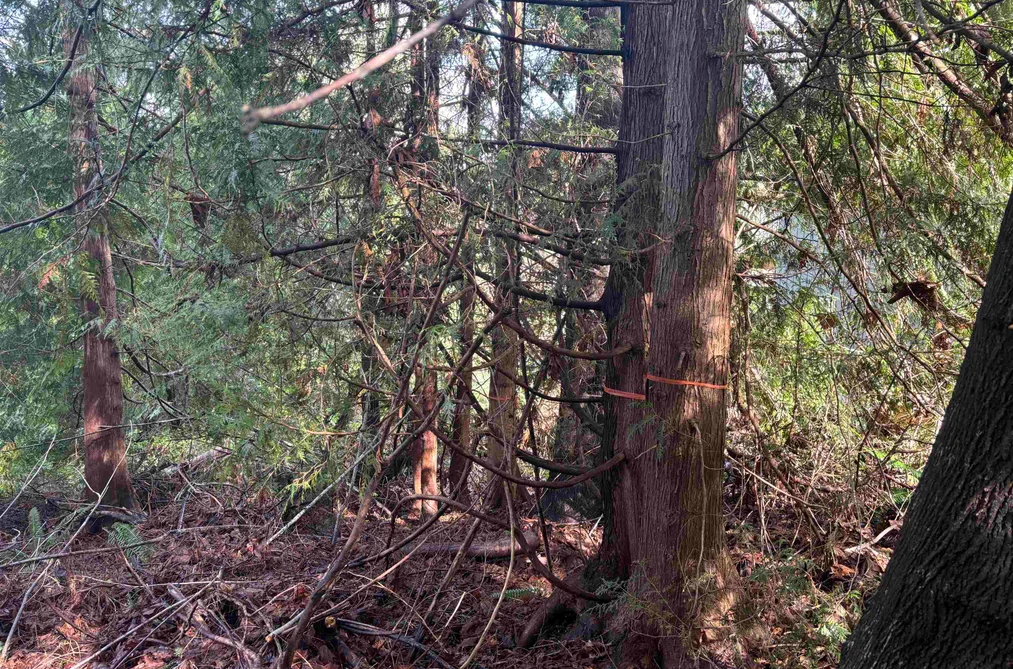 LOT 39 SANDY HOOK ROAD, Sechelt BC V0N 3A7, Sechelt BC — Land for Sale - Photo 2