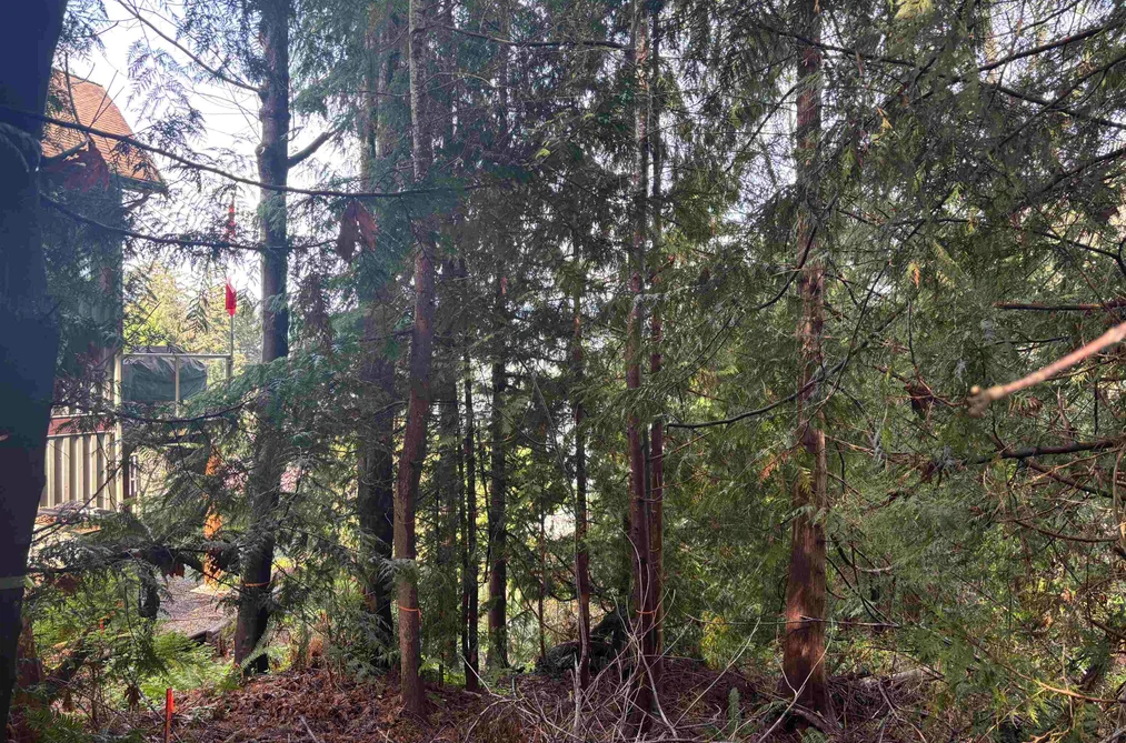 LOT 39 SANDY HOOK ROAD, Sechelt BC V0N 3A7, Sechelt BC — Land for Sale - Photo 3