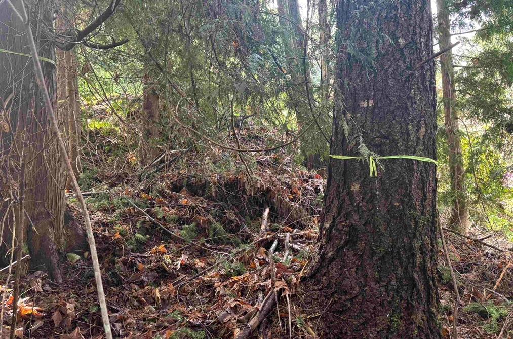 LOT 39 SANDY HOOK ROAD, Sechelt BC V0N 3A7, Sechelt BC — Land for Sale - Photo 4