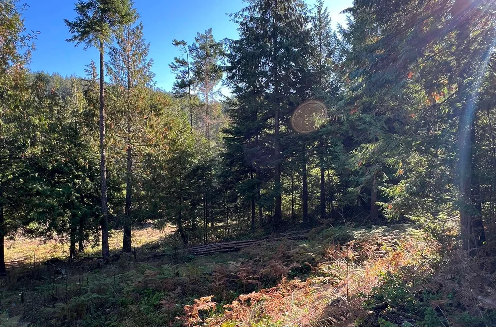 Property for sale at Lot 4 13685 Lee Road Garden Bay British Columbia - MLS: R2979505