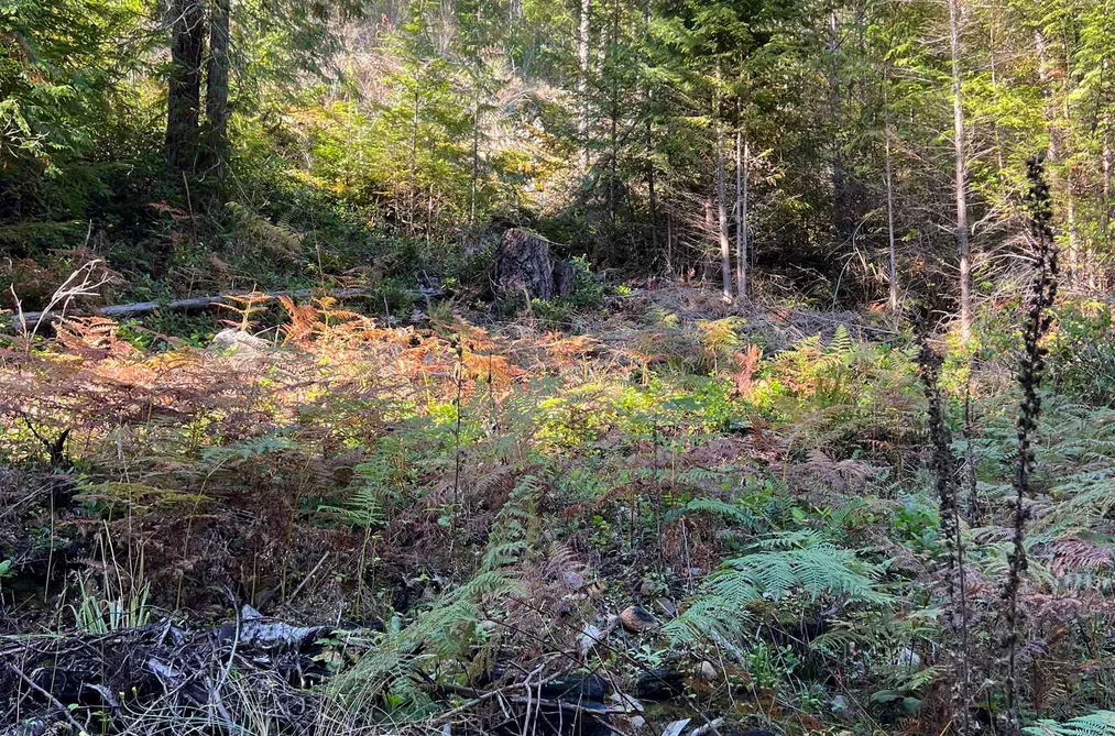 LOT 4 13685 LEE ROAD, Garden Bay BC V0N 1S1, Garden Bay BC — Land for Sale - Photo 4
