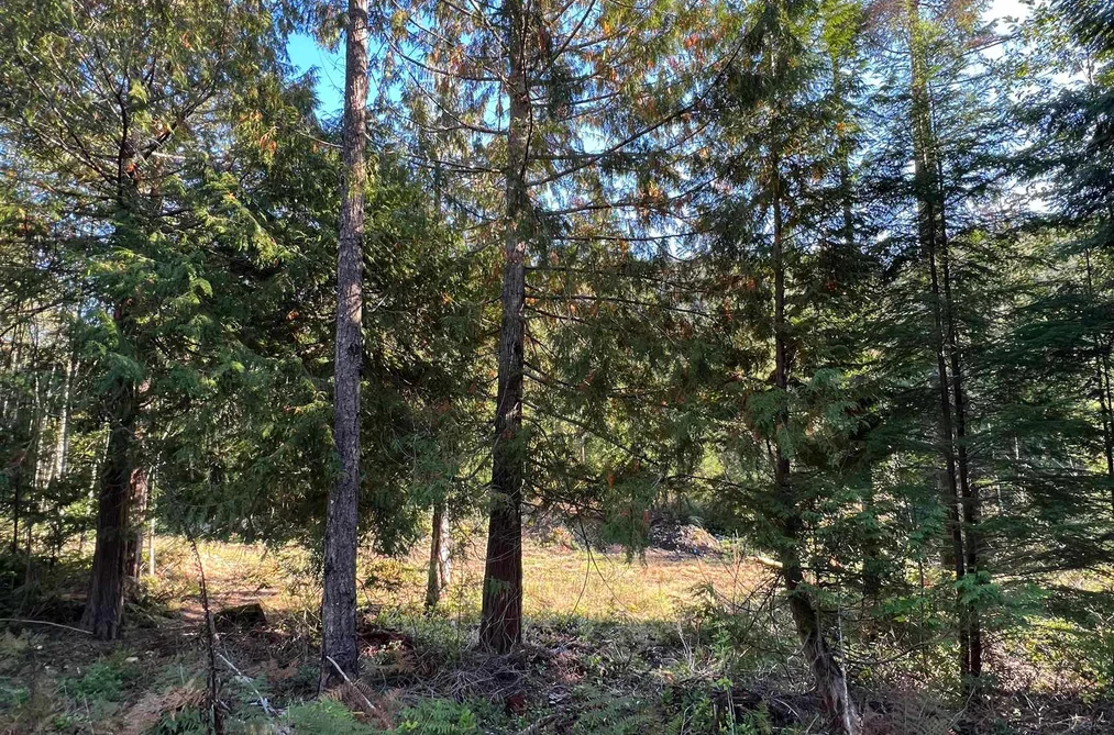 LOT 4 13685 LEE ROAD, Garden Bay BC V0N 1S1, Garden Bay BC — Land for Sale - Photo 5