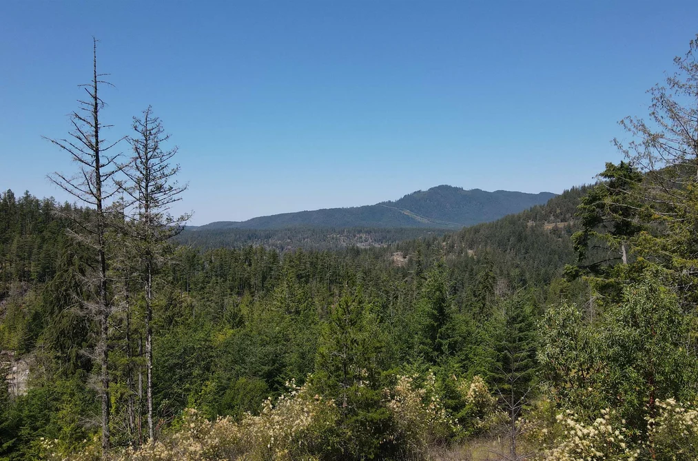 Lot 4 13803 LEE ROAD, Pender Harbour BC V0N 1S1, Pender Harbour BC — Land for Sale - Photo 3