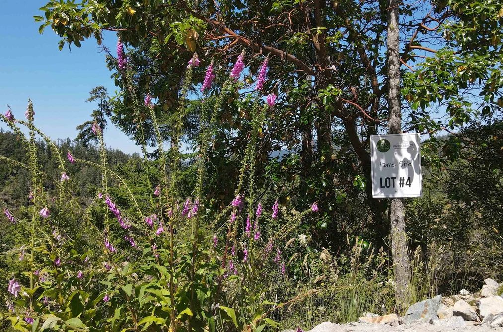 Lot 4 13803 LEE ROAD, Pender Harbour BC V0N 1S1, Pender Harbour BC — Land for Sale - Photo 4