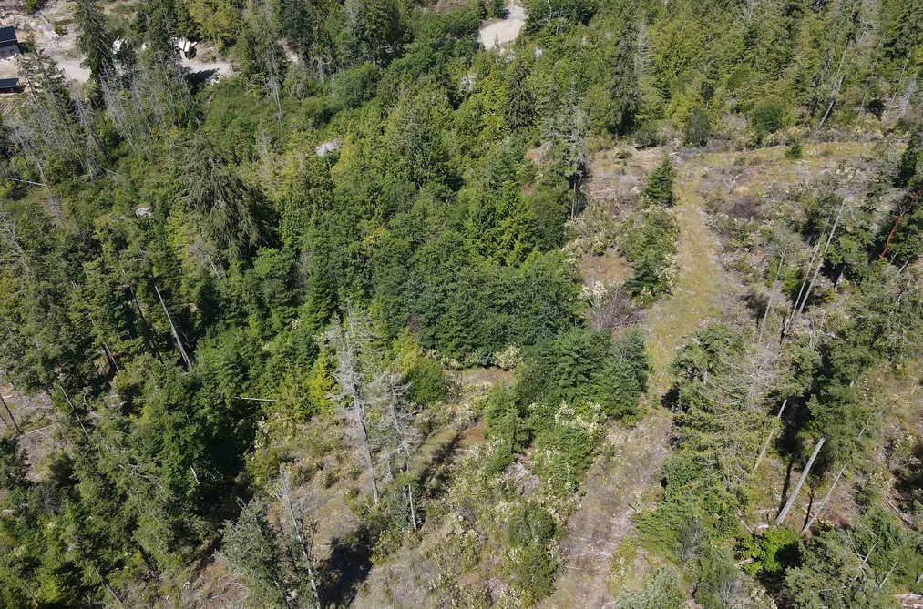 Lot 4 13803 LEE ROAD, Pender Harbour BC V0N 1S1, Pender Harbour BC — Land for Sale - Photo 5