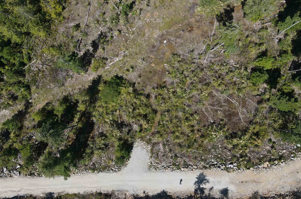 Lot 4 13803 LEE ROAD, Pender Harbour BC V0N 1S1, Pender Harbour BC — Land for Sale - Photo 6