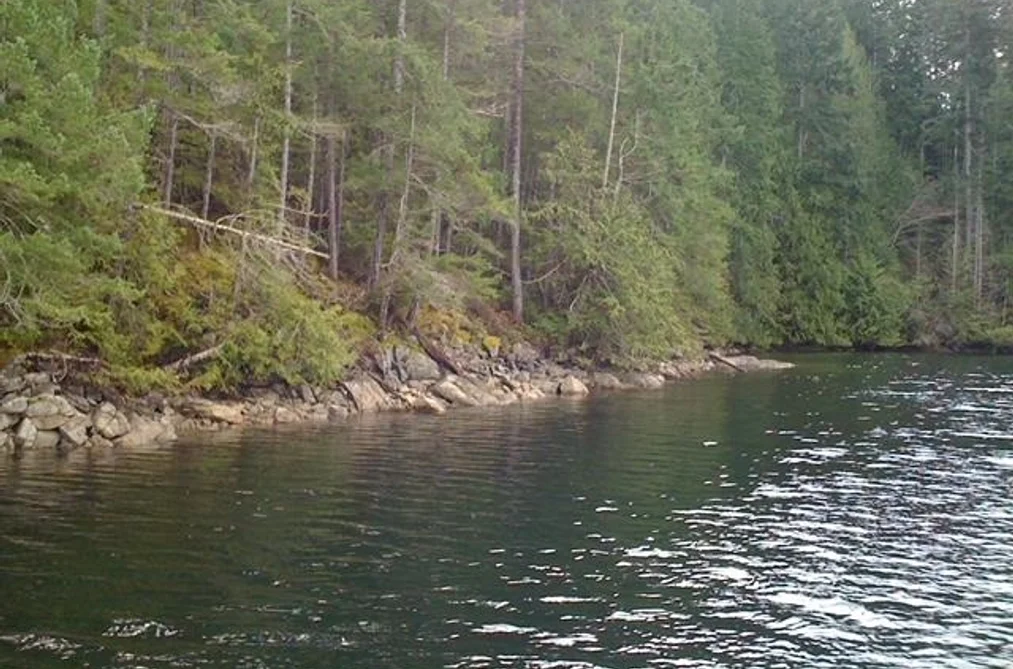 LOT 4 HIDDEN BASIN, Nelson Island BC V0N 0V0, Nelson Island BC — Land for Sale - Photo 2