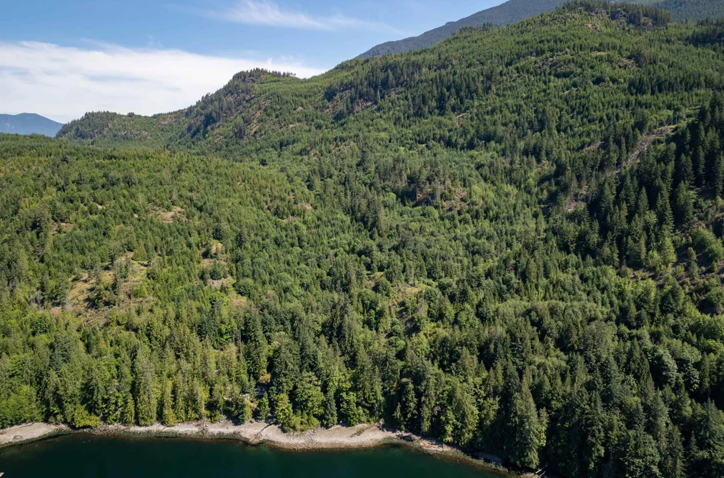 LOT 4 KAYAK ROAD, Egmont BC V0N 1N0, Egmont BC — Land for Sale - Photo 5