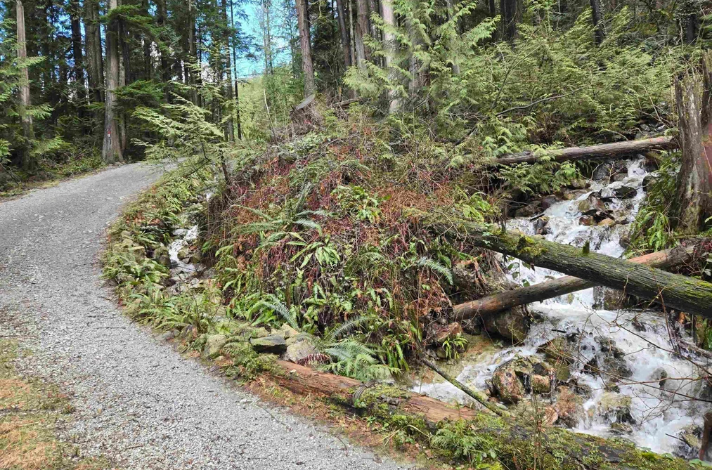 Lot 4 WILLIAMS LANDING, Pitt Meadows BC V0N 1V0, Pitt Meadows BC — Land for Sale - Photo 5
