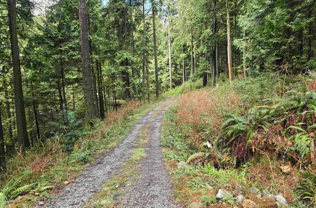 Lot 4 WILLIAMS LANDING, Pitt Meadows BC V0N 1V0, Pitt Meadows BC — Land for Sale - Photo 7