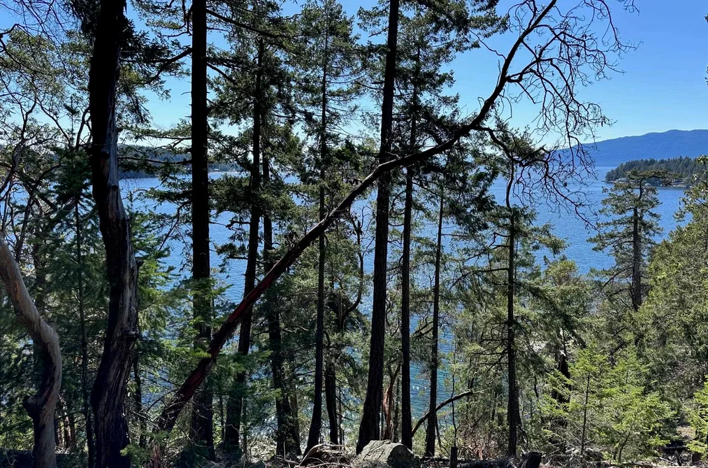 LOT 48 ORCA ROAD, Garden Bay BC V0N 1S1, Garden Bay BC — Land for Sale - Photo 2