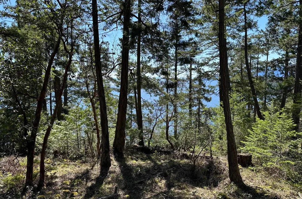 LOT 48 ORCA ROAD, Garden Bay BC V0N 1S1, Garden Bay BC — Land for Sale - Photo 3