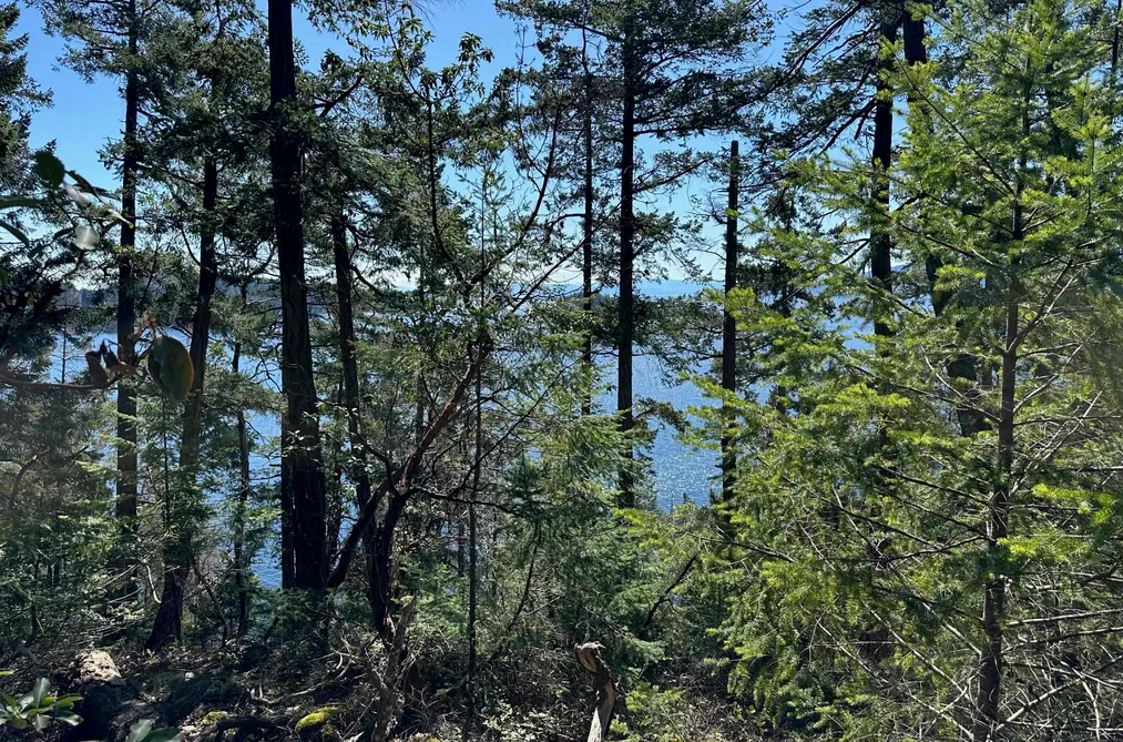 LOT 48 ORCA ROAD, Garden Bay BC V0N 1S1, Garden Bay BC — Land for Sale - Photo 5