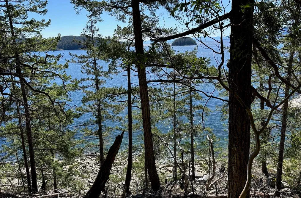LOT 48 ORCA ROAD, Garden Bay BC V0N 1S1, Garden Bay BC — Land for Sale - Photo 6
