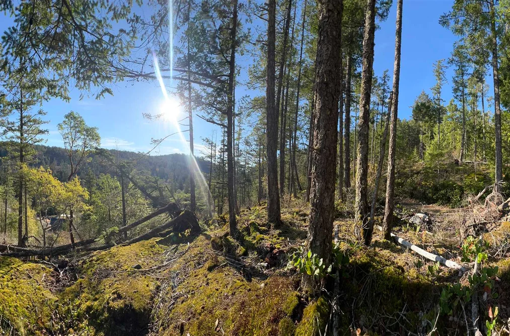 LOT 5 13685 LEE ROAD, Garden Bay BC V0N 1S1, Garden Bay BC — Land for Sale - Photo 4