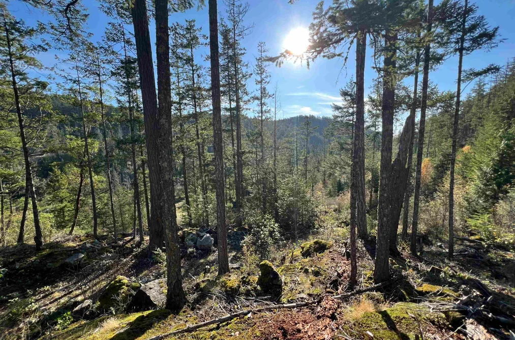 LOT 5 13685 LEE ROAD, Garden Bay BC V0N 1S1, Garden Bay BC — Land for Sale - Photo 5