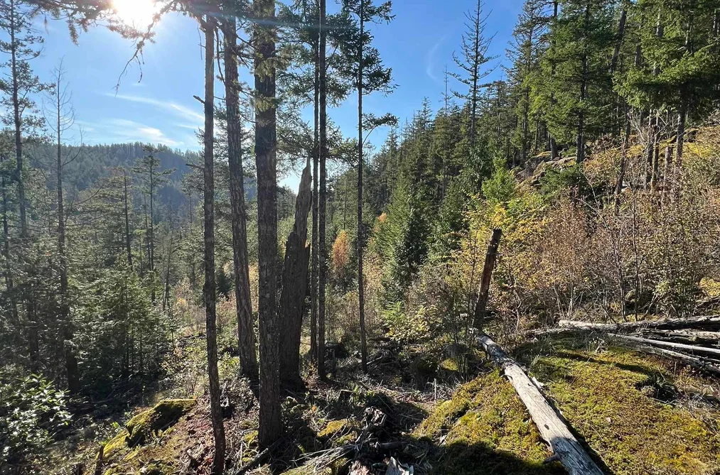 LOT 5 13685 LEE ROAD, Garden Bay BC V0N 1S1, Garden Bay BC — Land for Sale - Photo 6