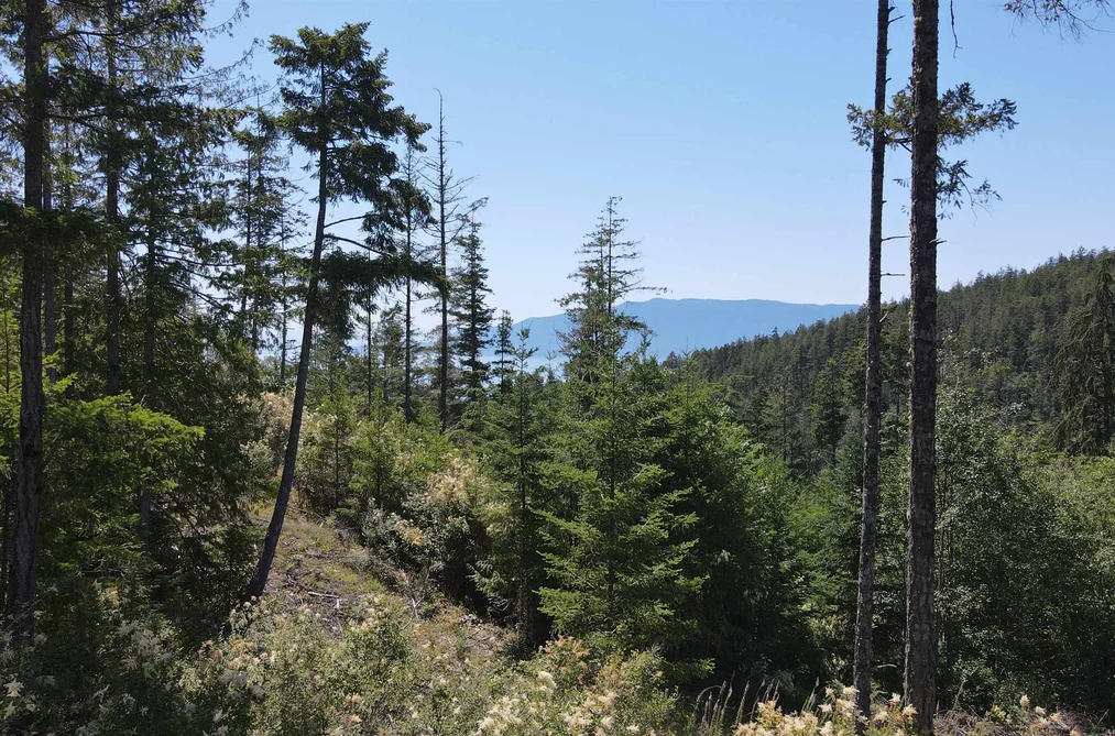 Lot 5 13803 LEE ROAD, Pender Harbour BC V0N 1S1, Pender Harbour BC — Land for Sale - Photo 3