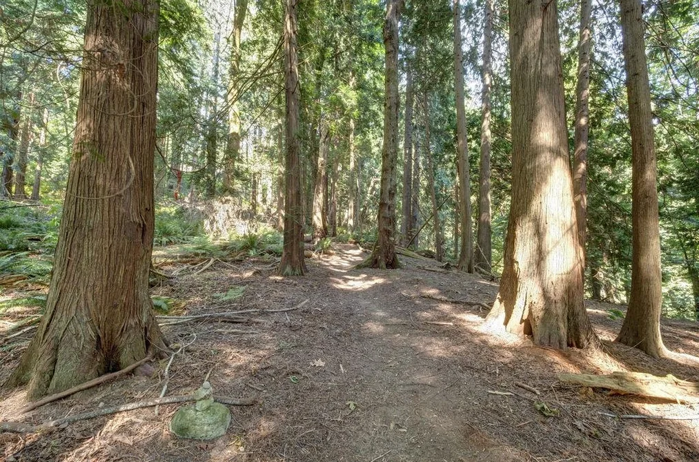 Lot 5 GOWER POINT ROAD, Gibsons BC V0N 1V5, Gibsons BC — Land for Sale — Photo 10 of 19