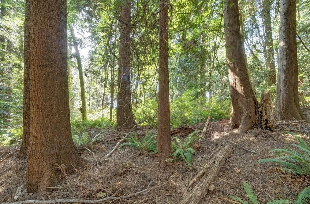 Lot 5 GOWER POINT ROAD, Gibsons BC V0N 1V5, Gibsons BC — Land for Sale — Photo 8 of 19