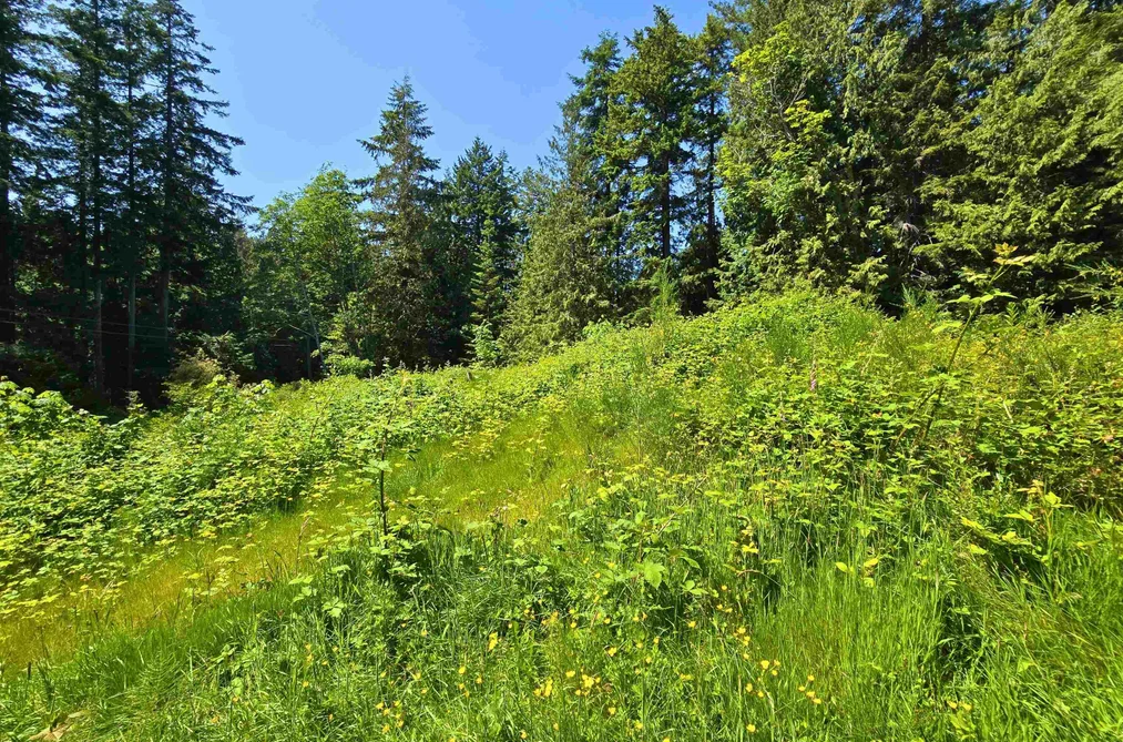 LOT 5 LOWER ROAD, Roberts Creek BC V0N 2W4, Roberts Creek BC — Land for Sale - Photo 4