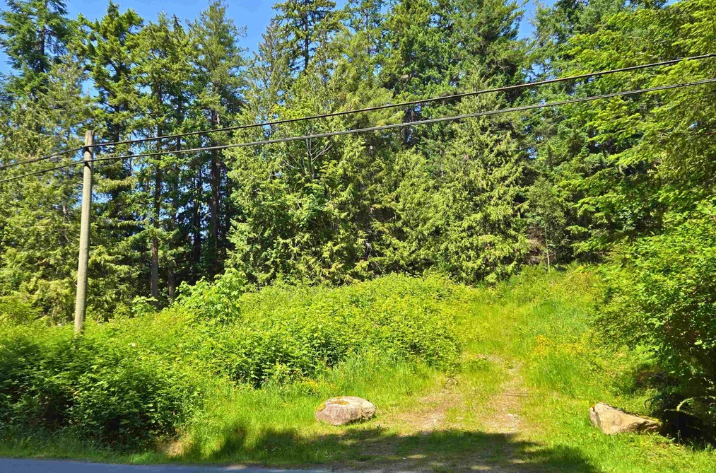 LOT 5 LOWER ROAD, Roberts Creek BC V0N 2W4, Roberts Creek BC — Land for Sale - Photo 6