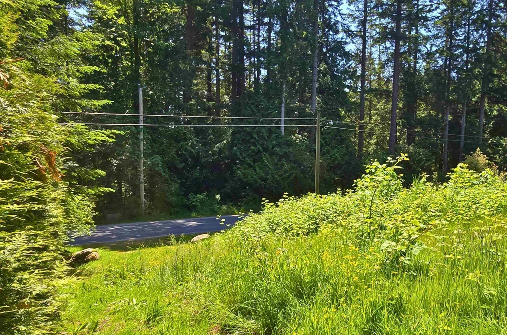 LOT 5 LOWER ROAD, Roberts Creek BC V0N 2W4, Roberts Creek BC — Land for Sale - Photo 7