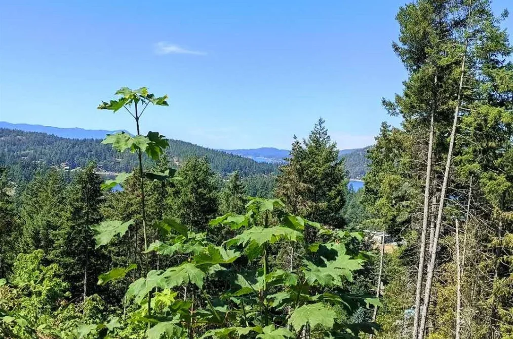 LOT 57 GULFVIEW ROAD, Pender Harbour BC V0N 2H0, Pender Harbour BC — Land for Sale - Photo 6