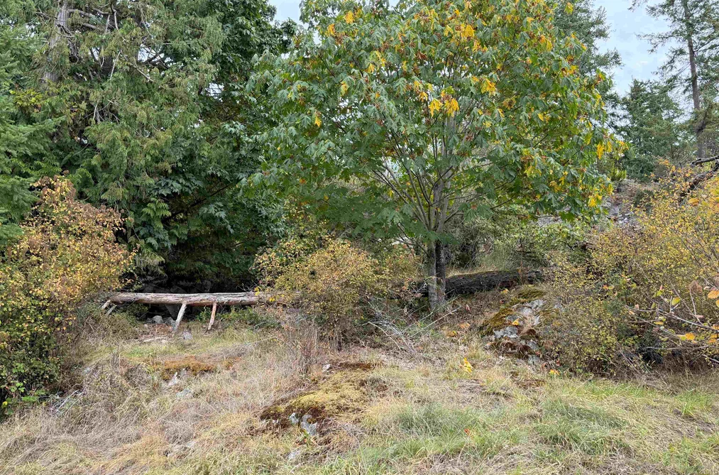 Lot 66 Packalen Boulevard, Garden Bay, BC - MLS: R3162822 - Photo 10 Lot 66 Packalen Boulevard, Garden Bay, BC - MLS: R3162822 - Photo 10
