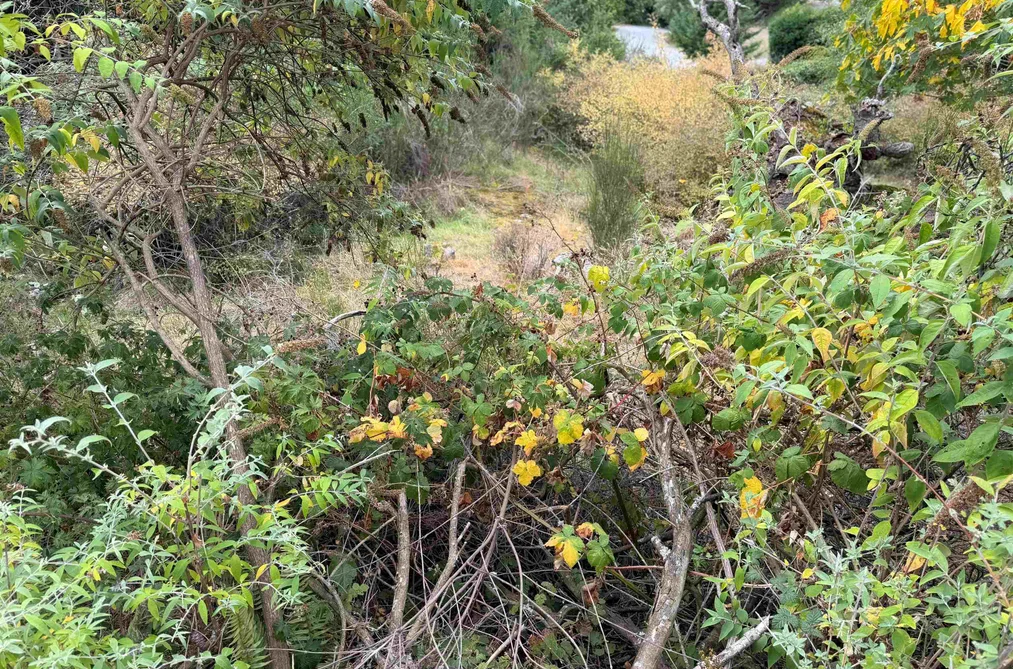 Lot 66 Packalen Boulevard, Garden Bay, BC - MLS: R3162822 - Photo 11 Lot 66 Packalen Boulevard, Garden Bay, BC - MLS: R3162822 - Photo 11
