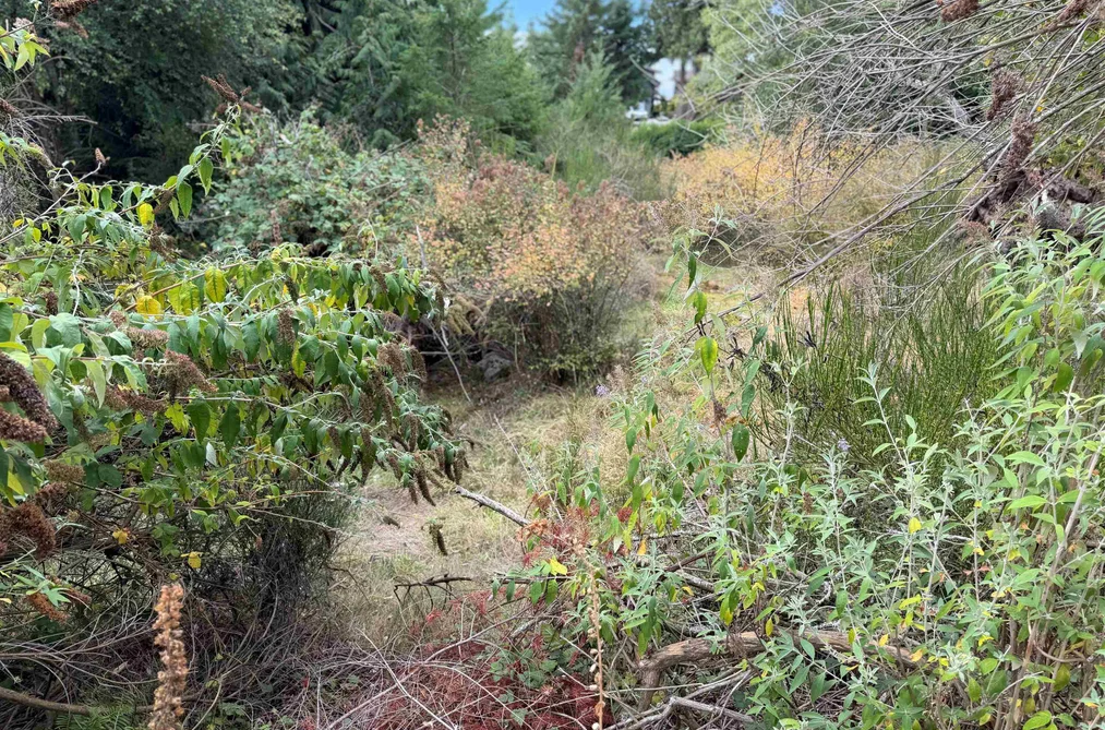 Lot 66 Packalen Boulevard, Garden Bay, BC - MLS: R3162822 - Photo 12 Lot 66 Packalen Boulevard, Garden Bay, BC - MLS: R3162822 - Photo 12