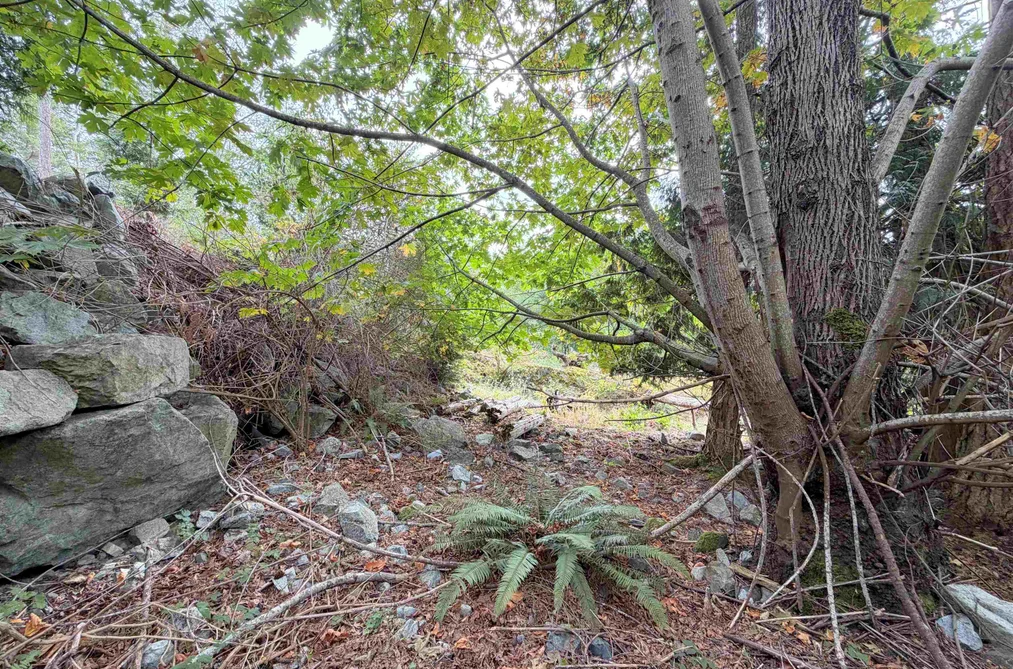 Lot 66 Packalen Boulevard, Garden Bay, BC - MLS: R3162822 - Photo 13 Lot 66 Packalen Boulevard, Garden Bay, BC - MLS: R3162822 - Photo 13