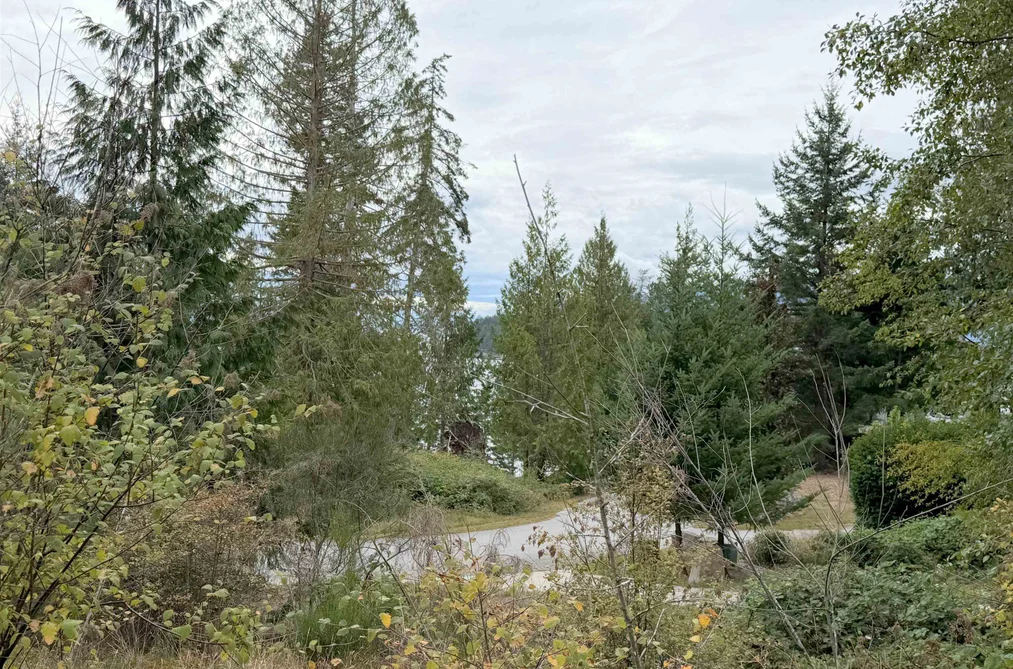 Lot 66 Packalen Boulevard, Garden Bay, BC - MLS: R3162822 - Photo 14 Lot 66 Packalen Boulevard, Garden Bay, BC - MLS: R3162822 - Photo 14